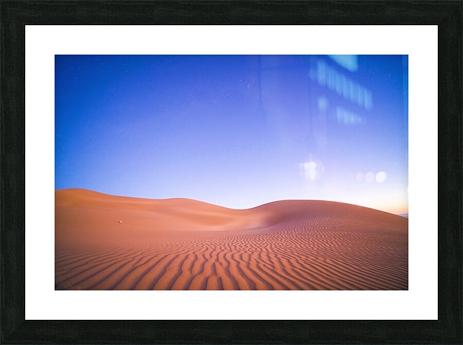 Windswept Picture Frame print