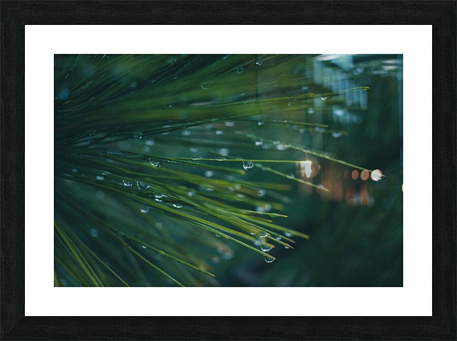 Drops Picture Frame print
