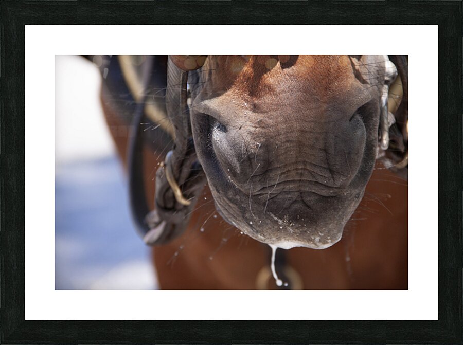 Froth Picture Frame print