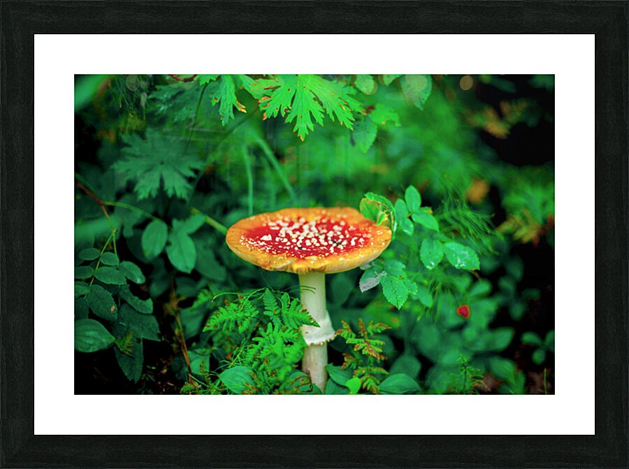 Spawn Picture Frame print