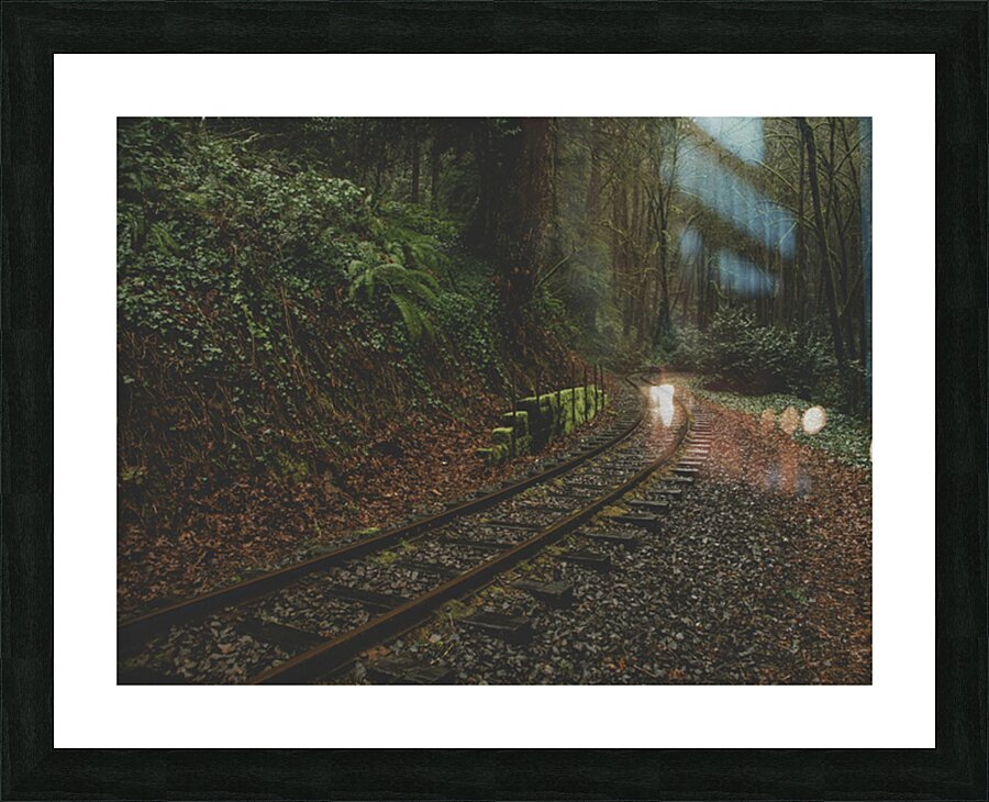 Passing Through Picture Frame print