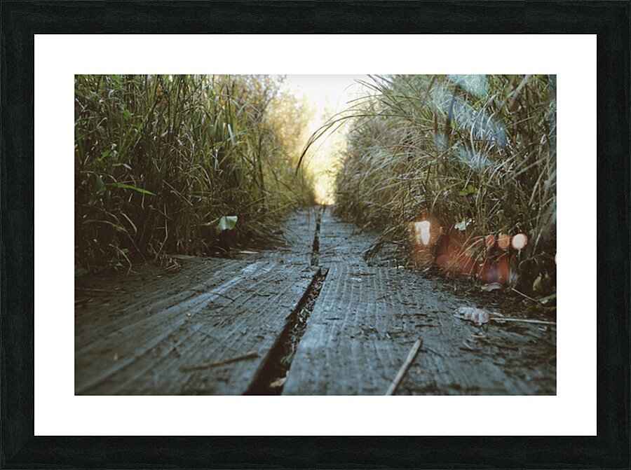 Boardwalk Picture Frame print