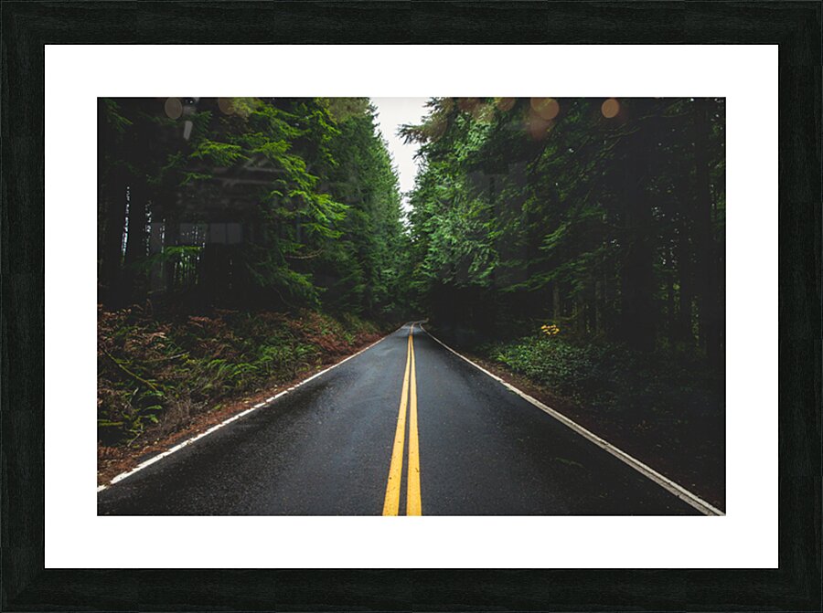 Steady Picture Frame print