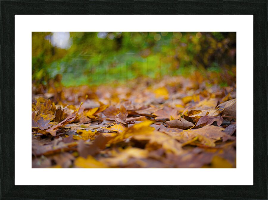 Autumn Change Picture Frame print