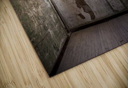 Abandon Me Jessetookaphoto puzzle