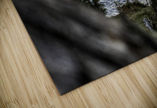 Cold Horizon Jessetookaphoto puzzle