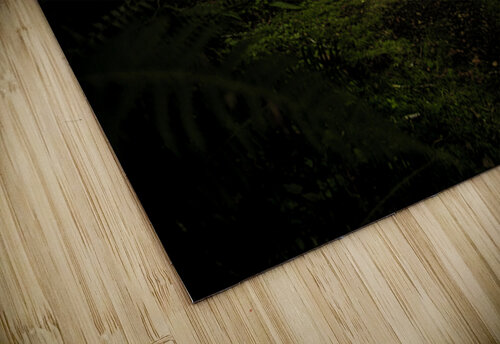 Quiet Wandering Jessetookaphoto puzzle