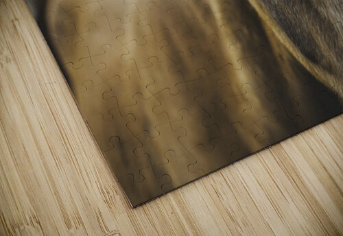 Watcher Jessetookaphoto puzzle