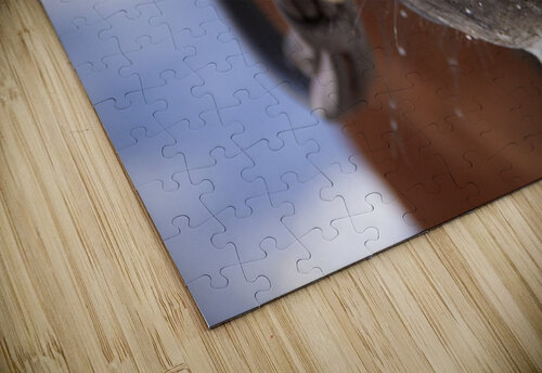 Froth Jessetookaphoto puzzle
