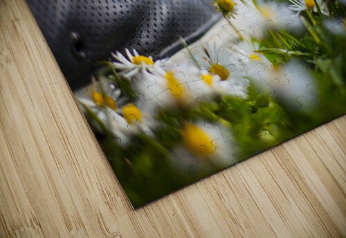 Never Surrender Jessetookaphoto puzzle