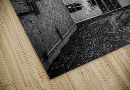 Forgotten Jessetookaphoto puzzle