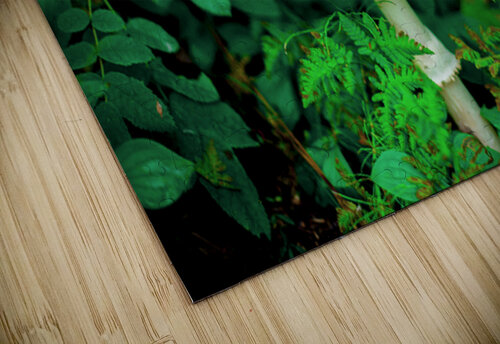 Spawn Jessetookaphoto puzzle
