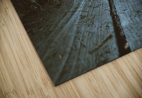 Boardwalk Jessetookaphoto puzzle