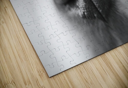 Sniff Jessetookaphoto puzzle