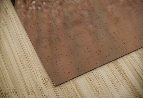 Autumn Rain Jessetookaphoto puzzle