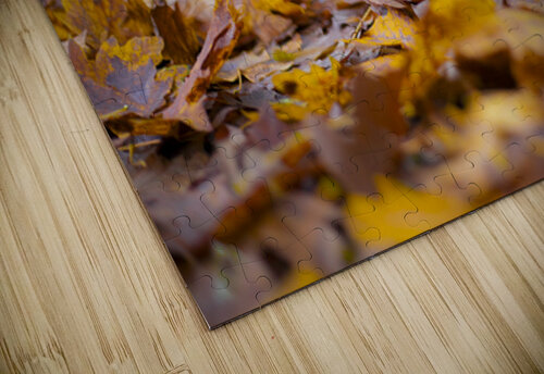 Autumn Change Jessetookaphoto puzzle