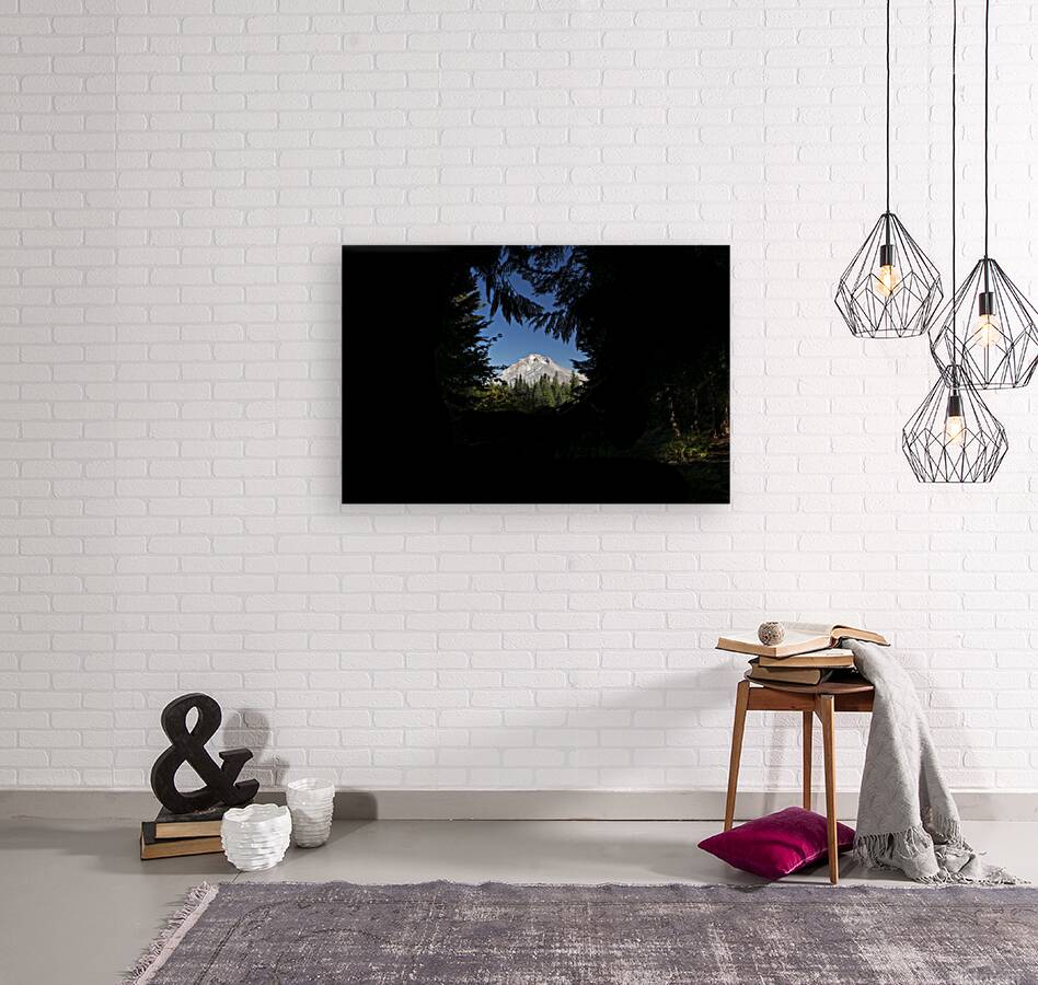 Focus Reproduction