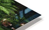 Forest Fern HD Metal print