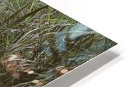 Boardwalk HD Metal print