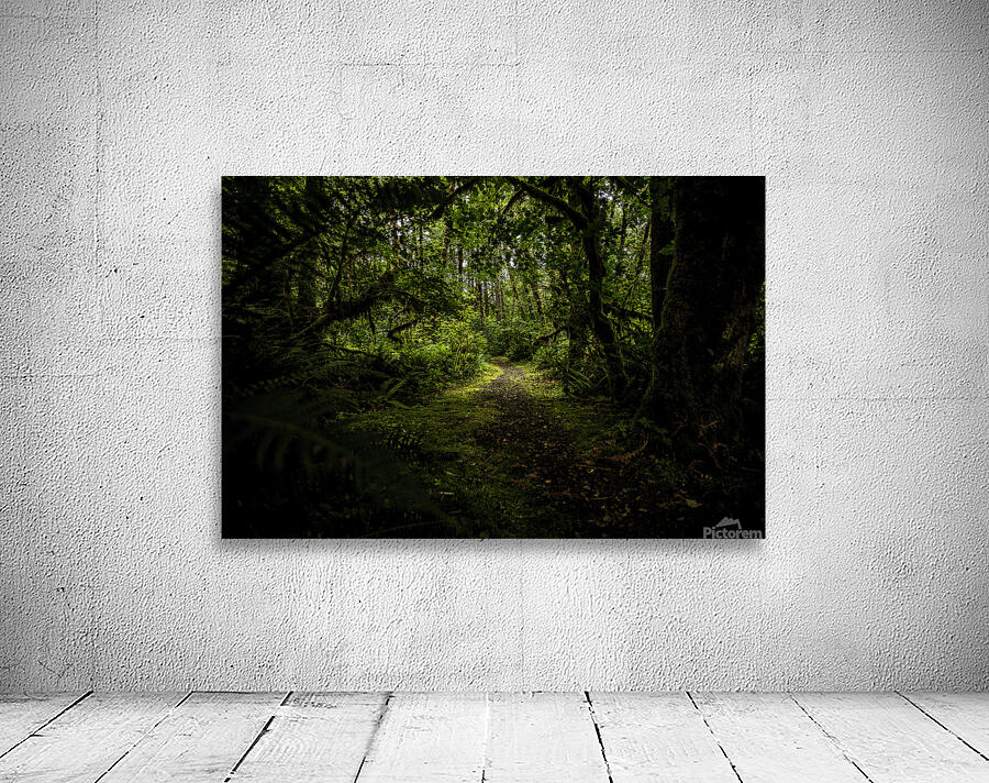 Quiet Wandering Wall Preview
