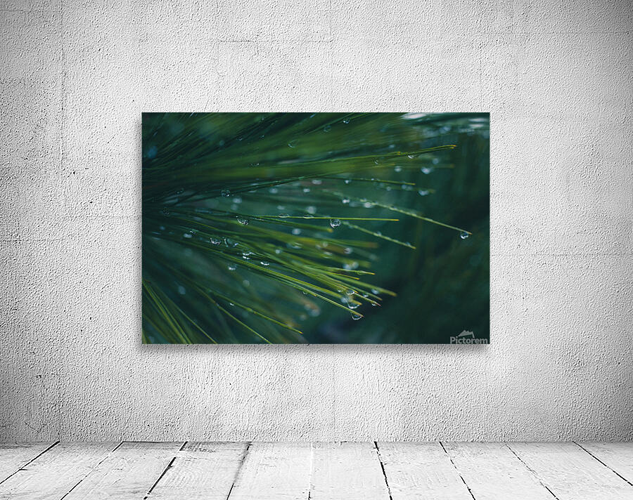 Drops Wall Preview