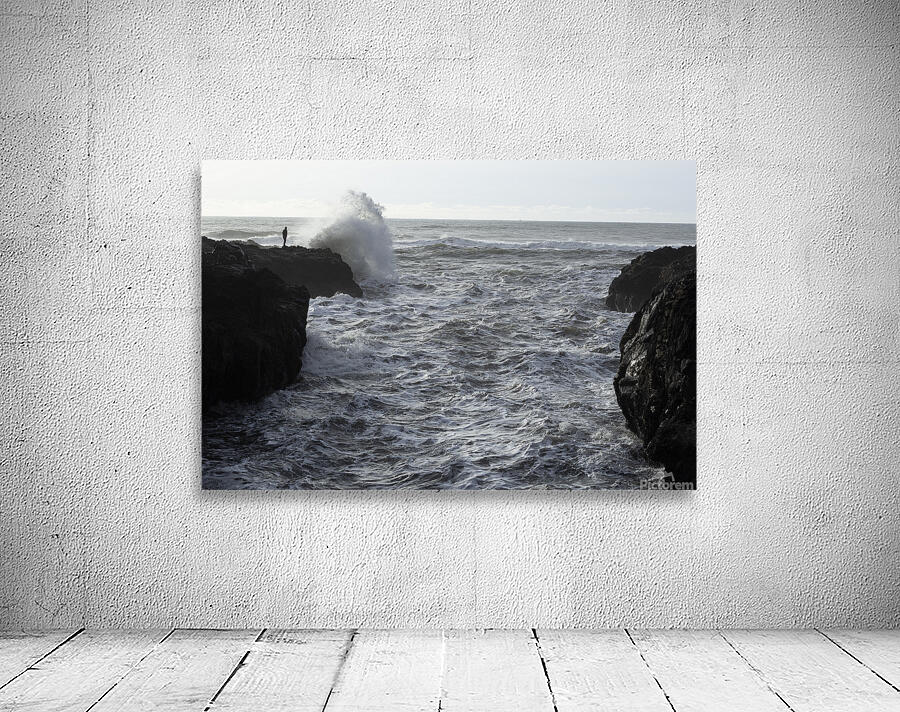 Still Life Wall Preview