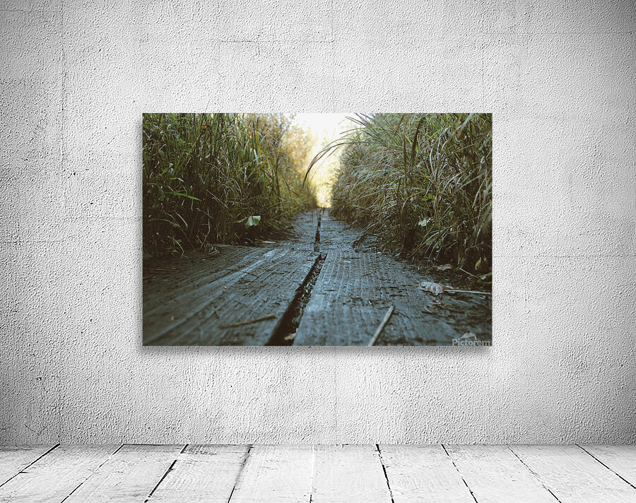 Boardwalk Wall Preview