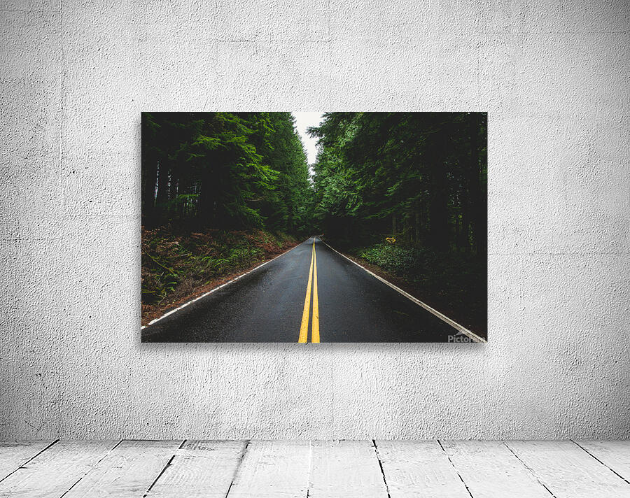 Steady Wall Preview