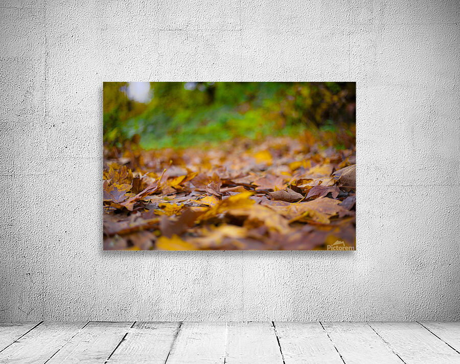 Autumn Change Wall Preview