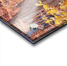 Cycle Of Growth and Decay Acrylic print