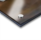 Past Its Prime Acrylic print