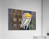 Past Its Prime Acrylic Print