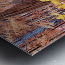 Cycle Of Growth and Decay Metal print