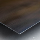 Past Its Prime Metal print