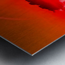 Full Light Spectrum Of Goose Spit Sunrise 2 Metal print