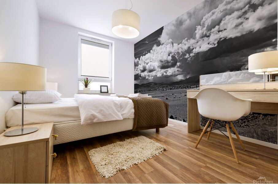 Storm Coming 1 Mural print