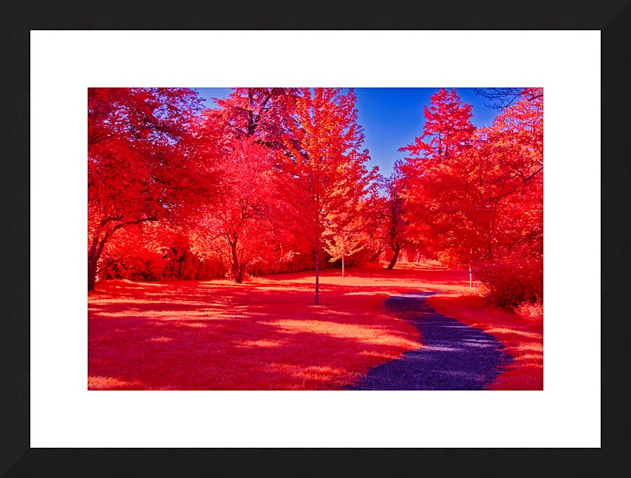 Beaufort Park Path Picture Frame print