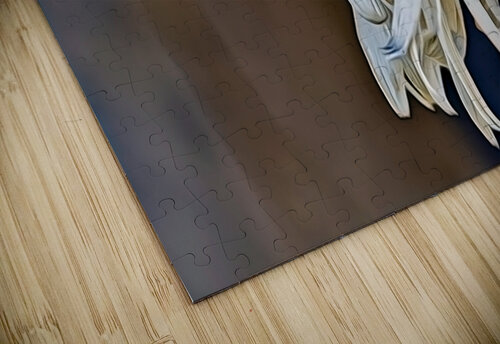 Past Its Prime CRB Images Photography puzzle