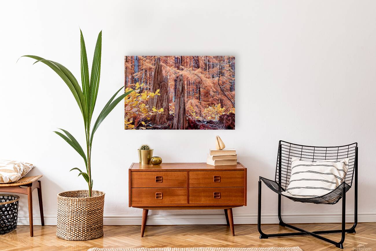 Cycle Of Growth and Decay Reproduction