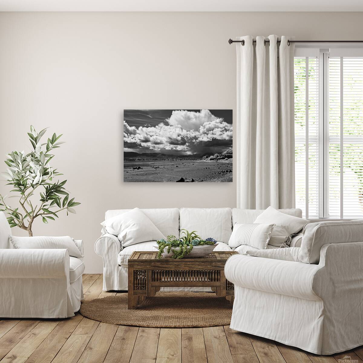 Storm Coming 1 Reproduction