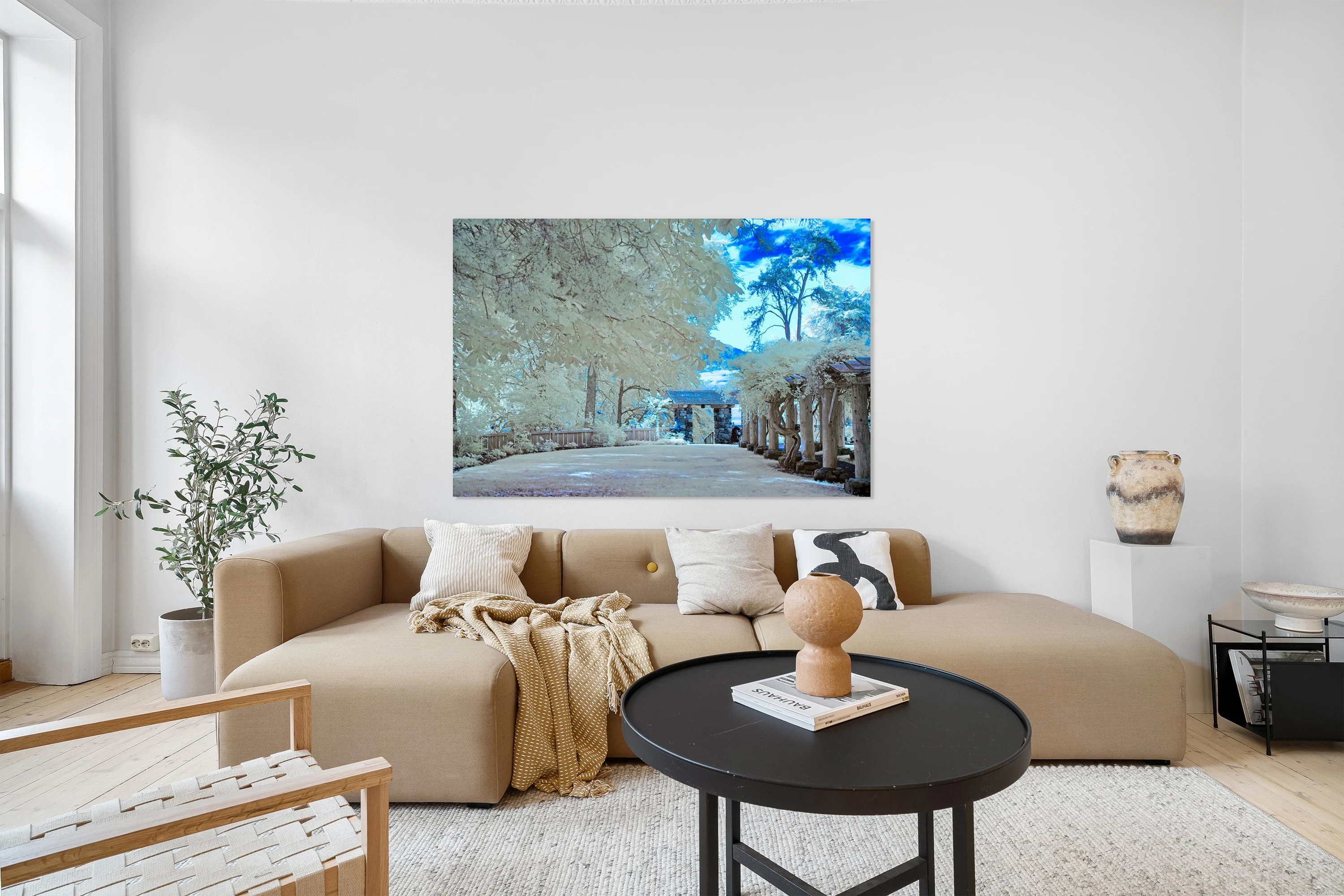 Serene Infrared Garden