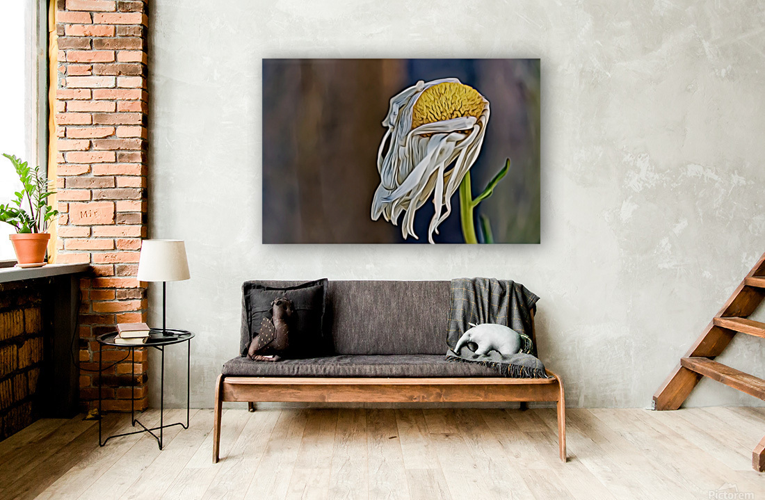 Past Its Prime Reproduction