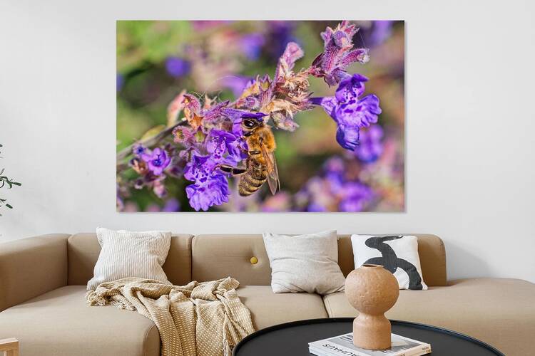 Bees At Work 5 by CRB Images Photography