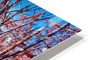 Path To Harbour HD Metal print