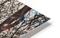 Weathered HD Metal print