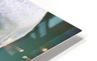 Surprise HD Metal print