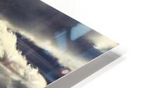What A View HD Metal print