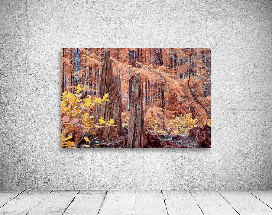 Cycle Of Growth and Decay Wall Preview