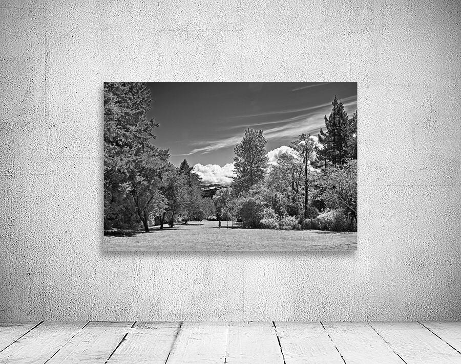 Port Augusta Park Wall Preview