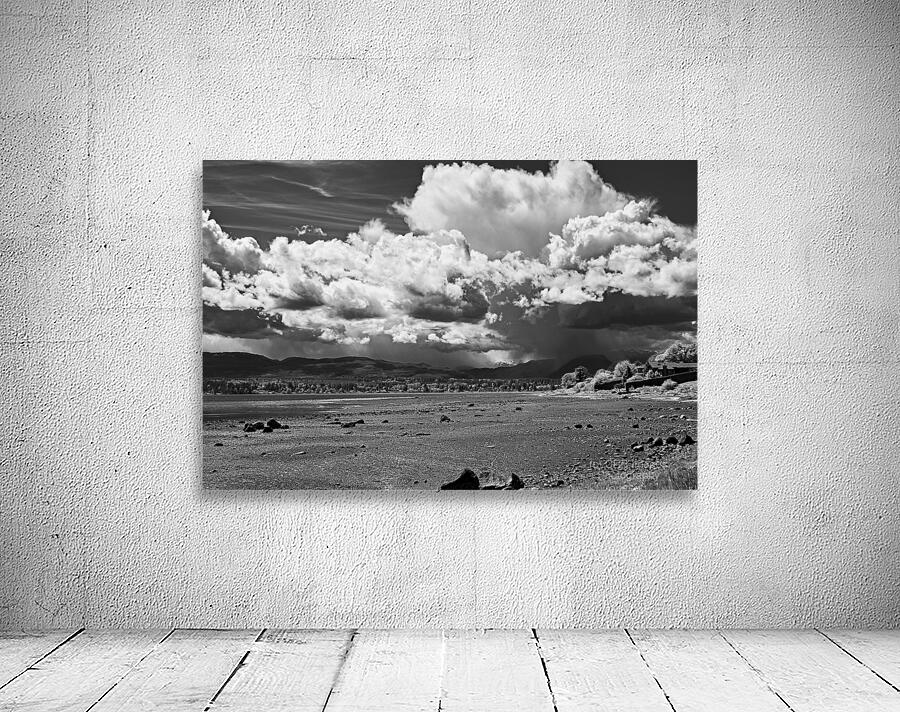 Storm Coming 1 Wall Preview